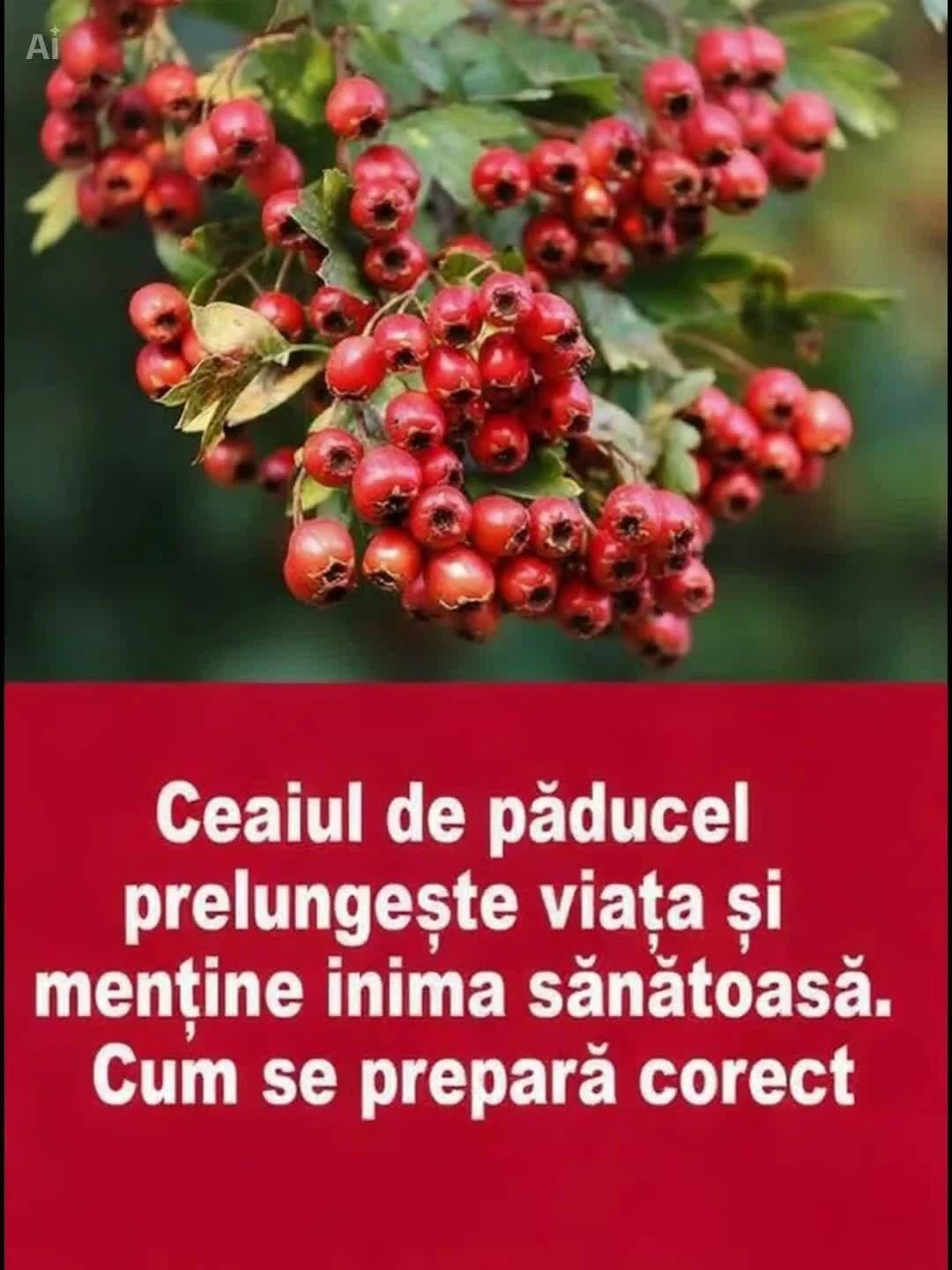 Ceai de păducel preparat pentru sănătatea inimii