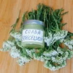 Crema cu coada șoricelului pentru îngrijirea pielii