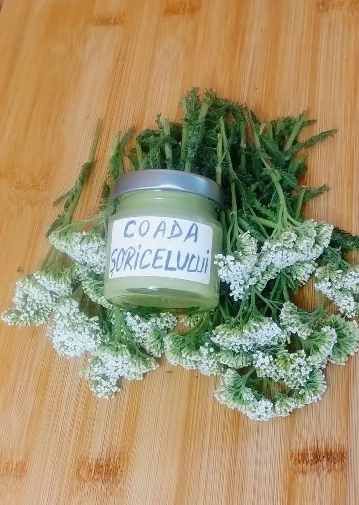 Crema cu coada șoricelului pentru îngrijirea pielii