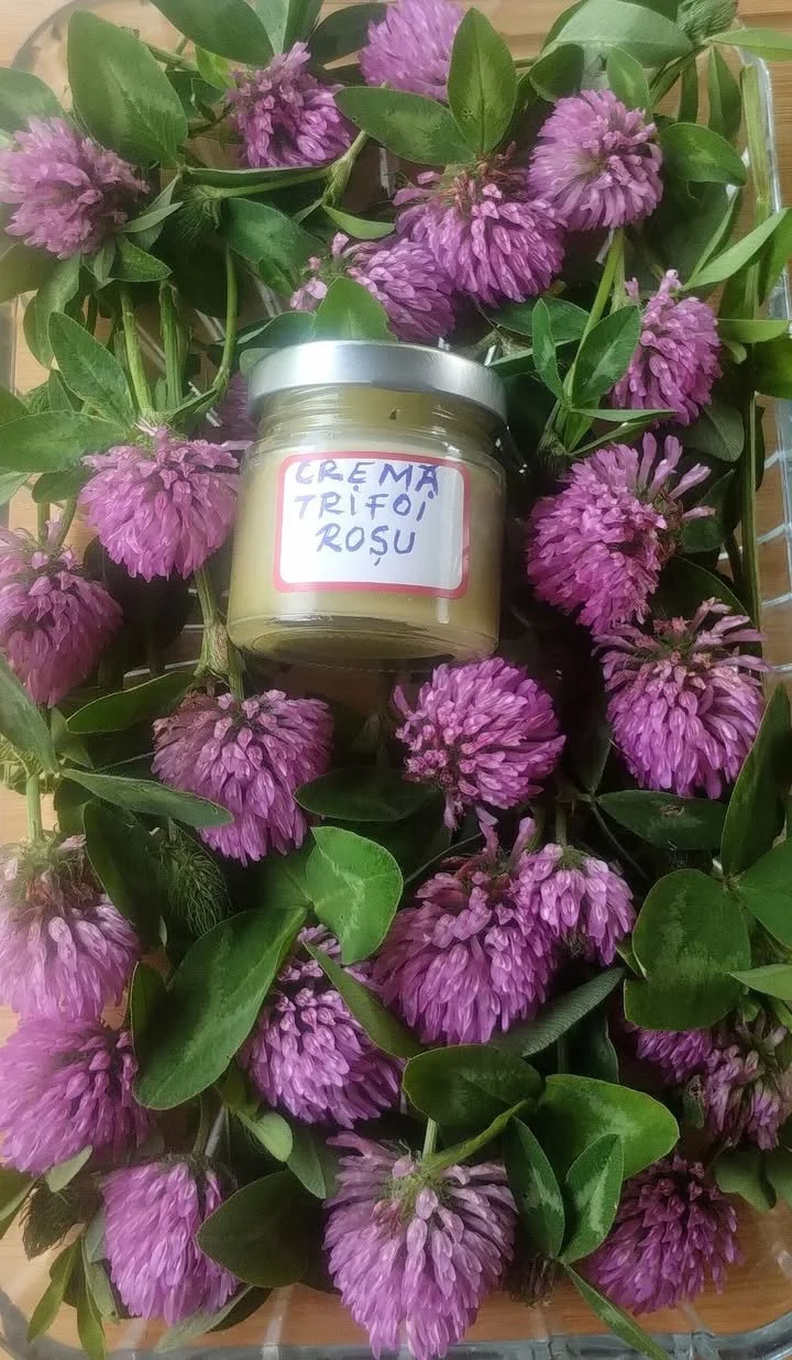 Crema cu trifoi roșu pentru îngrijirea pielii