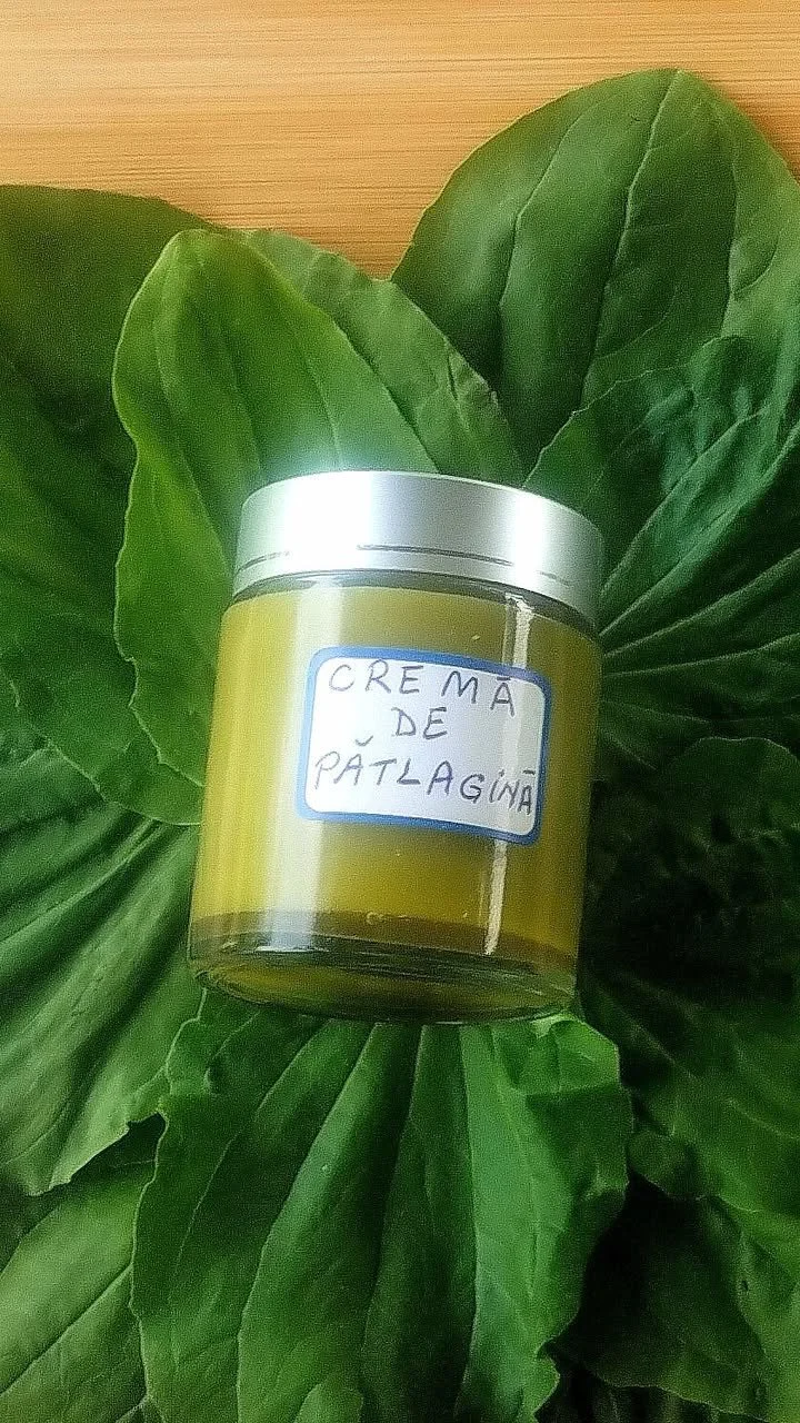 Cremă din frunze de pătlăgină pentru îngrijirea pielii