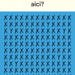 Ochi de vultur care simbolizează viziunea clară și oportunitățile ascunse.