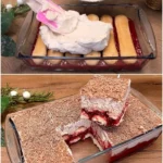 Prăjitură cu zmeură, ricotta și pișcoturi, delicioasă și rafinată