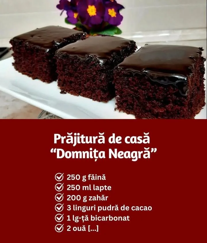 Prăjitură de casă Domnița Neagră, un desert delicios și rafinat.